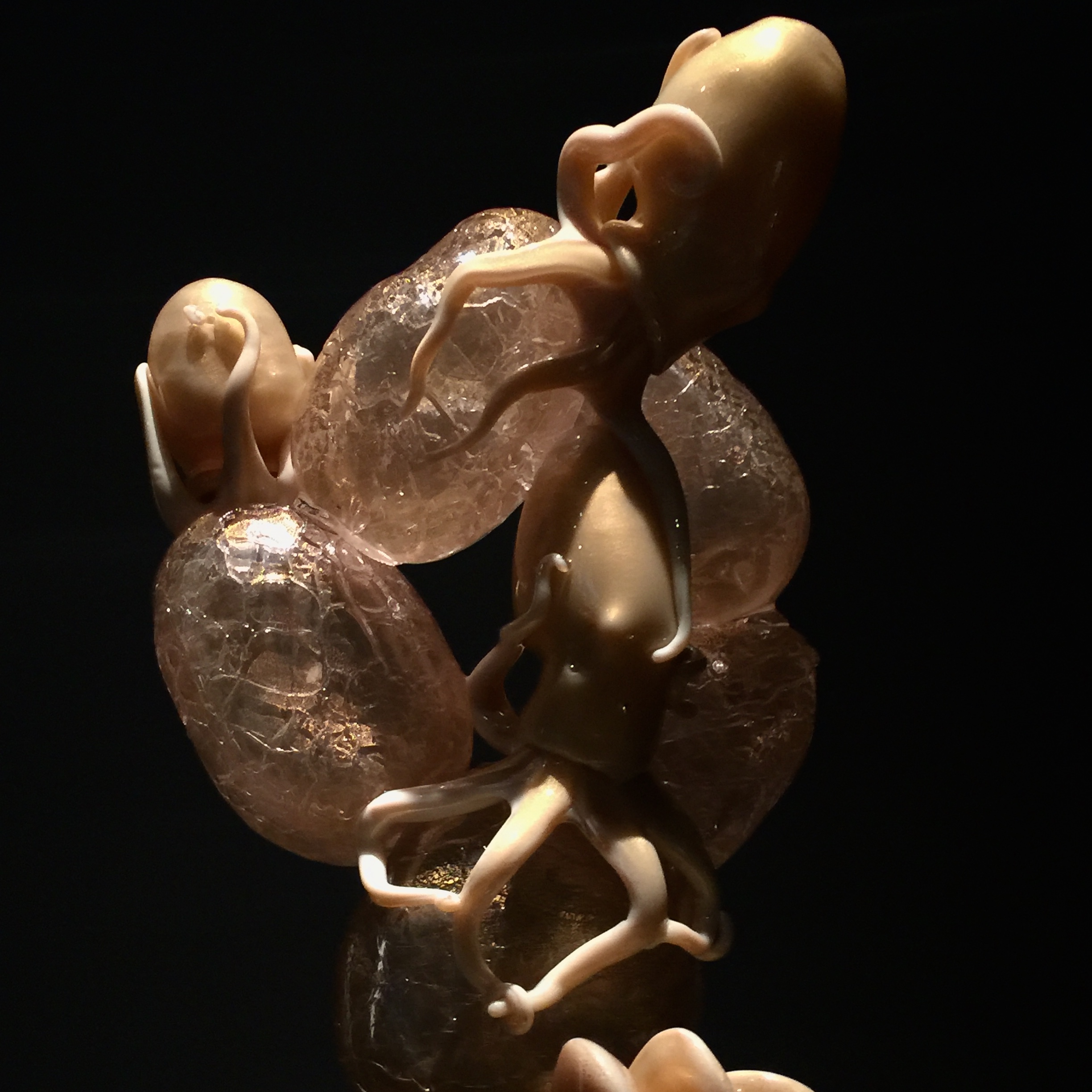 67654489_2469323003127406_4392260283918188544_n